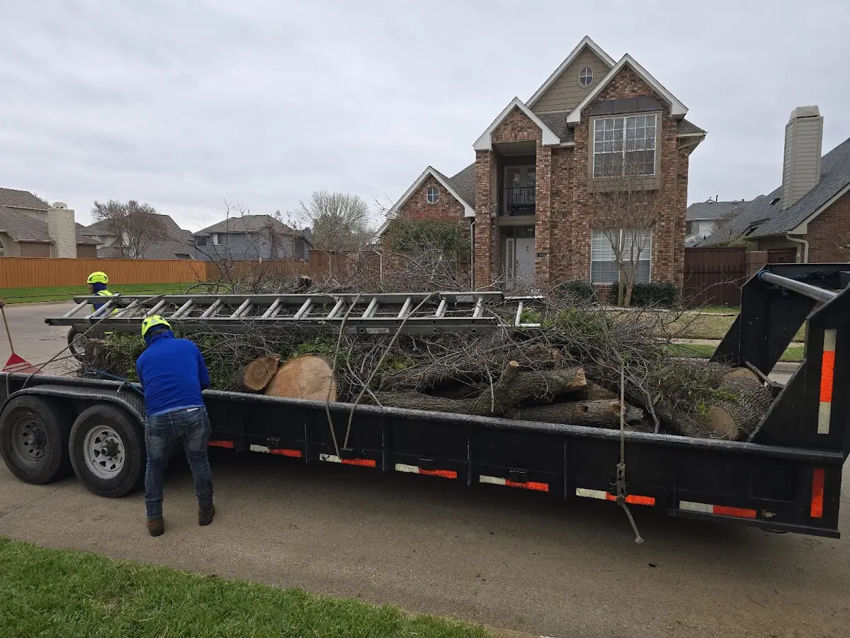 Expert Tree Fertilization with proper safety equipment in Andrews